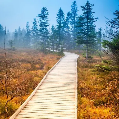 Klinovec 129 * Loučná pod Klínovcem