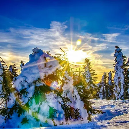 Klinovec 129 * Loučná pod Klínovcem