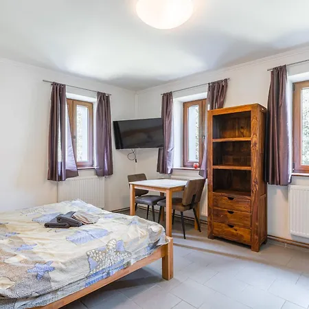 Klinovec 129 公寓 Loučná pod Klínovcem