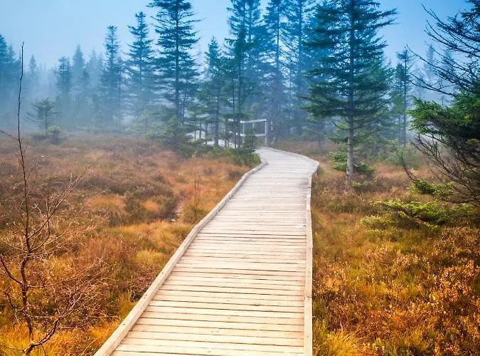 Klinovec 129 * Лоучна-под-Клиновцем